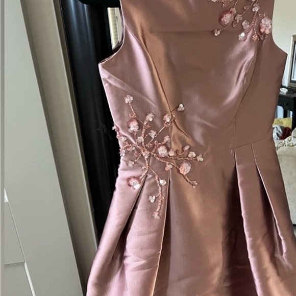 Nwot Teri Jon dress women size 4 pink blush with embellishments - Picture 3 of 13